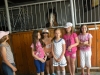 2013-07-04-stadnina