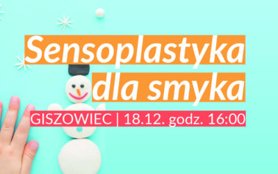 Sensoplastyka dla smyka