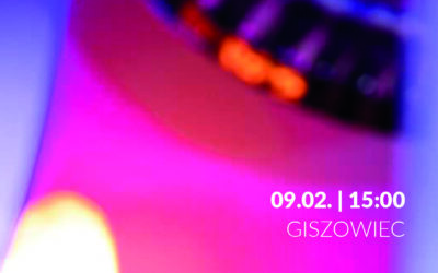 Harmonijne Wibracje – koncert