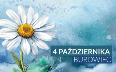 Akwarelowe love – malować każdy może