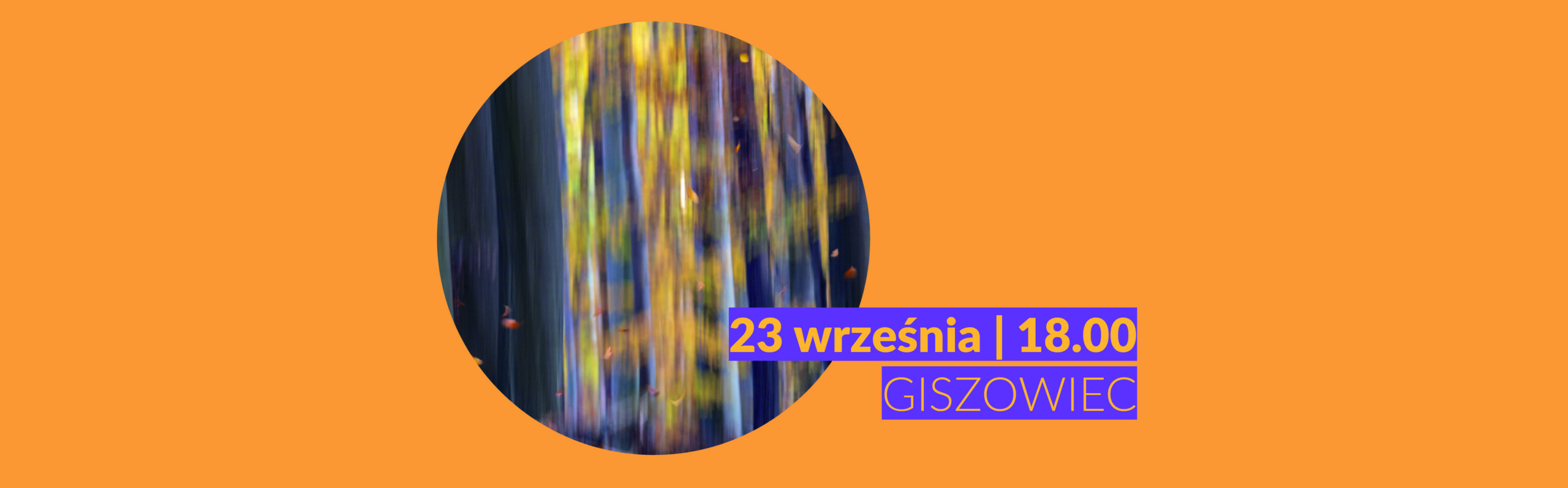 strona_slider_las