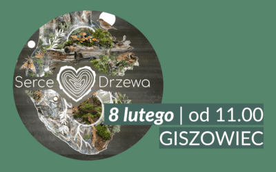 SERCE DRZEWA – slow festiwal rodzinny