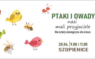 Ptaki i&nbsp;owady – nasi mali przyjaciele