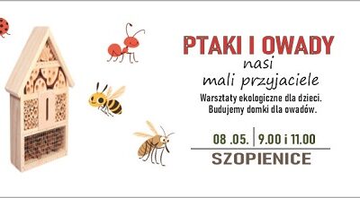 Ptaki i owady – nasi mali przyjaciele
