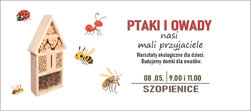 slajder ptaki i owady maj – zm